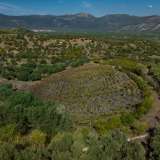  For Sale - (€ 0 / m2), Agricultural 100943 m2 Epidavros 7993542 thumb5
