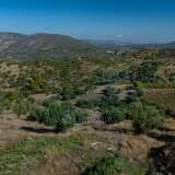  For Sale - (€ 0 / m2), Agricultural 100943 m2 Epidavros 7993542 thumb4