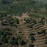  For Sale - (€ 0 / m2), Agricultural 100943 m2 Epidavros 7993542 thumb2