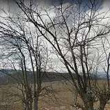  Large plot of land 2 km. from Yovkovtsi dam  Elena city 6693072 thumb2