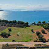 For Sale - (€ 0 / m2), Agricultural 9140 m2 Kranidi 7793794 thumb5