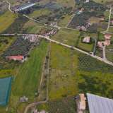  For Sale - (€ 0 / m2), Agricultural 7819 m2 Ermioni 8093802 thumb1
