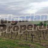  Development land with vineyard in the town of Byala Byala city 8093823 thumb4