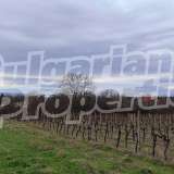  Development land with vineyard in the town of Byala Byala city 8093823 thumb3