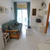  THE APARTMENT IS 100 METERS FROM THE BEACH, TORREVIEJA Torrevieja 4093861 thumb7