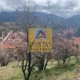  (For Sale) Land Plot || Voiotia/Arachova - 1.446 Sq.m, 390.000€ Arachova 7993886 thumb4