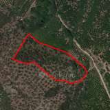  For Sale - (€ 0 / m2), Agricultural 9140 m2 Epidavros 7893889 thumb1