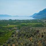  For Sale - (€ 0 / m2), Agricultural 9140 m2 Epidavros 7893889 thumb8