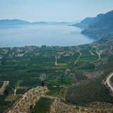  For Sale - (€ 0 / m2), Agricultural 9140 m2 Epidavros 7893889 thumb0