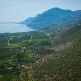  For Sale - (€ 0 / m2), Agricultural 9140 m2 Epidavros 7893889 thumb6