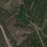  For Sale - (€ 0 / m2), Agricultural 9140 m2 Epidavros 7893889 thumb9