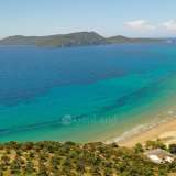  For Sale - (€ 0 / m2), Agricultural 6698 m2 Methoni 7793908 thumb0