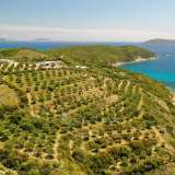  For Sale - (€ 0 / m2), Agricultural 6698 m2 Methoni 7793908 thumb7