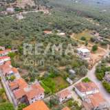  For Sale - (€ 0 / m2), Plot 800 m2 Agria 8194155 thumb3