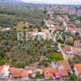  For Sale - (€ 0 / m2), Plot 800 m2 Agria 8194155 thumb2
