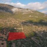  For Sale - (€ 0 / m2), Agricultural 4167 m2 Ermioni 8094156 thumb5