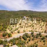  For Sale - (€ 0 / m2), Agricultural 4010 m2 Sipiada 8194170 thumb9