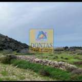  (For Sale) Land Plot || Cyclades/Paros - 12.070 Sq.m, 600.000€ Paros 8094029 thumb2