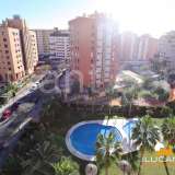   Alicante 4694389 thumb0