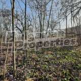  Large plot of agricultural land 8 km from Troyan Gorno Trape village 7594431 thumb12
