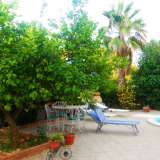  Elegant villa with pool in quiet and residential area Pedara 2794701 thumb19