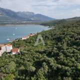  Plot 1612m2 with sea view, only 50m from the coast in Đuraševići, Tivat Djurasevici 8094776 thumb3