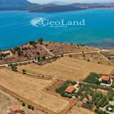  For Sale - (€ 0 / m2), Agricultural 14256 m2 Ermioni 7894894 thumb4