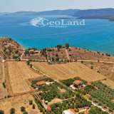  For Sale - (€ 0 / m2), Agricultural 14256 m2 Ermioni 7894894 thumb7