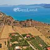  For Sale - (€ 0 / m2), Agricultural 14256 m2 Ermioni 7894894 thumb0