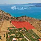  For Sale - (€ 0 / m2), Agricultural 14256 m2 Ermioni 7894894 thumb1