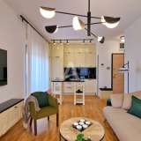  New furnished one bedroom apartment 41m2 in Budva Budva 8094923 thumb0