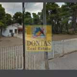  (For Sale) Land Plot || East Attica/Drosia - 4.135 Sq.m, 2.400.000€ Drosia 7594953 thumb5