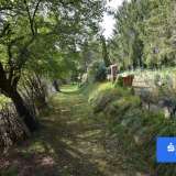  Gartengrundstück mit kleinem Gartenhaus im Grünbereich von Moritzen / Telfs Telfs 7395113 thumb6