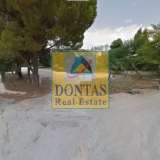 (For Sale) Land Plot || East Attica/Drosia - 1.850 Sq.m, 1.200.000€ Drosia 7995119 thumb0