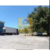  (For Sale) Commercial Industrial Area || Voiotia/Oinofyta - 800 Sq.m, 650.000€ Oinofita 7995132 thumb0