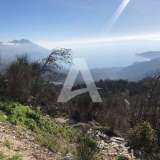  For sale a plot of 3133m2 in Lapčići-Budva with a panoramic view of the sea and the Budva Riviera. Lapcici 8095188 thumb0