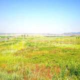  For Sale Agricultural Land with Lake Views Balgarovo city 8095472 thumb3
