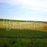  For Sale Agricultural Land with Lake Views Balgarovo city 8095472 thumb5