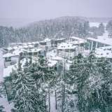  Euphoria Club Hotel & Resort - your own paradise in the favorite resort Borovets! Borovets  7495641 thumb10