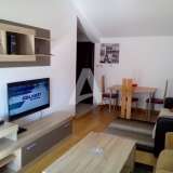  One bedroom furnished apartment 52m2, Becici Bečići 8095654 thumb0