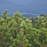  Босаче, Жабляк- Земля 40 000 м2 нетронутой природы с панорамным видом Жабляк 8095673 thumb4