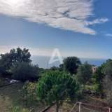  For Sale Plot with a small house and a view of the sea in Zagora Zagora 8095758 thumb18