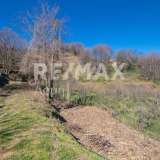  For Sale - (€ 0 / m2), Agricultural 3186 m2 Zagora 7695785 thumb8