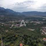  Plot in Tivat, Mrčevac - 9,160m2 with an Old Stone House Tivat 8095791 thumb10