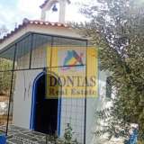  (For Sale) Residential Detached house || Fthiotida/Stylida - 350 Sq.m, 5 Bedrooms, 500.000€ Stilia 6795096 thumb8