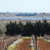  30 ha vineyard estate located just 5 km from seaside resortsThis attractive 30 ha property is set at the heart of the Herault near to the Mediterranean coast, surrounded by vineyards. From a commanding position, the property enjoys far-reachin Agde 2896183 thumb0