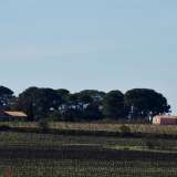  30 ha vineyard estate located just 5 km from seaside resortsThis attractive 30 ha property is set at the heart of the Herault near to the Mediterranean coast, surrounded by vineyards. From a commanding position, the property enjoys far-reachin Agde 2896183 thumb1