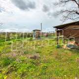  One-story house with a large garden in the village of Lesovo Lesovo village 7696286 thumb36