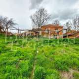  One-story house with a large garden in the village of Lesovo Lesovo village 7696286 thumb20