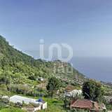  Venda Moradia T4, Calheta (Madeira) Calheta 7996287 thumb24